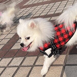 Winter Red Plaid Ski Suit Warm Coat for Small Dog Cat Pet